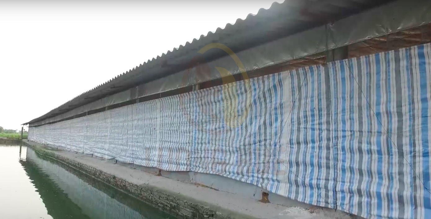 Bạt Che Nắng Ngoài Trời